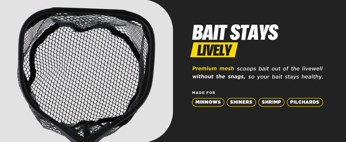Beyond Fishing Carbon Fiber Bait Net, Speed Scoop Minnow Dip Net, Livewell