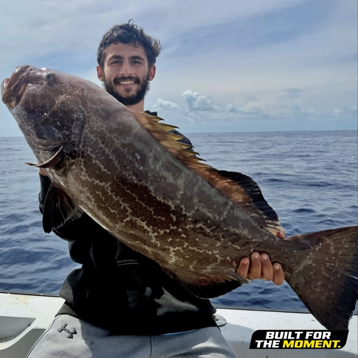 Grouper, boat side