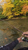 King salmon fight on 30 lb White 8X Beyond Braid